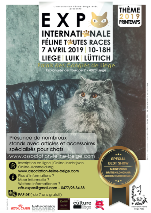 INFO CLUB – CULTURE LIEGE