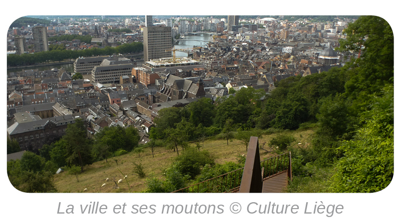 Regards croisés sur Liège