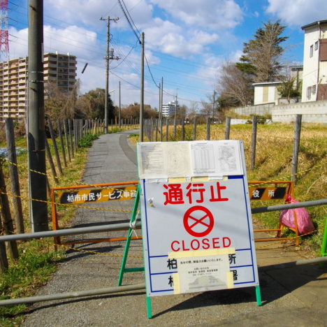 Rouge C – Hommage à Fukushima