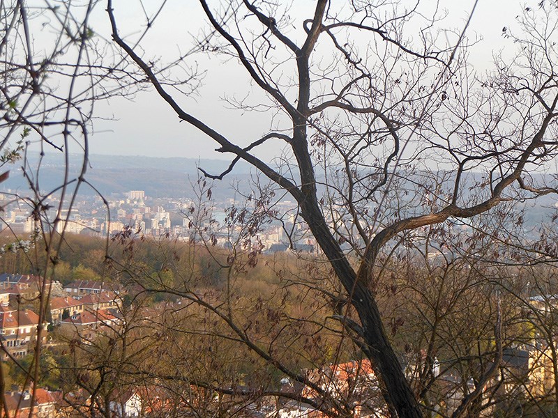 Le Terril Sainte-barbe - Niniot et ses alentours