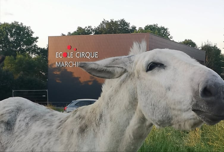 Inauguration de Cirque de Marchin