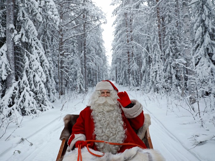 Noël au cœur de la Forêt! avec FORESTIA