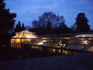 Nocturne de la Chandeleur aux Serres du Jardin Botannique à LIEGE