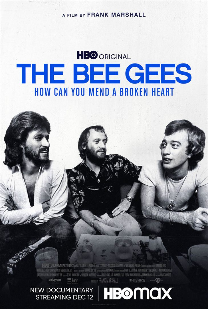 FilmThe Bee Gees - How can you Mend a Broken Heart au Ciné-Vennes à TROOZ