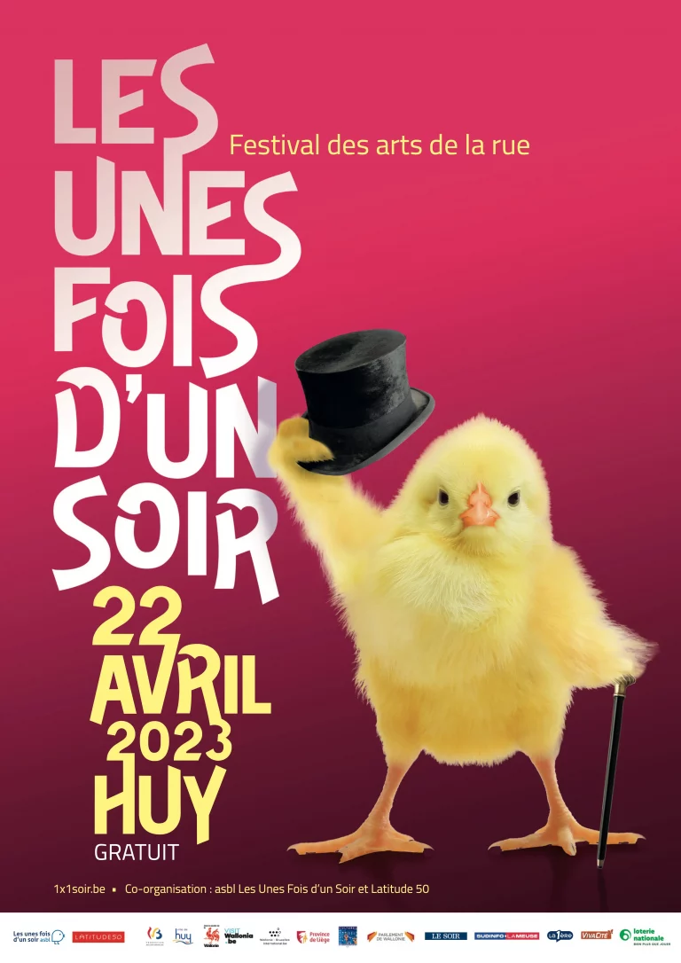 Festival des arts de a rue à Huy : Les Unes Fois d'un Soir