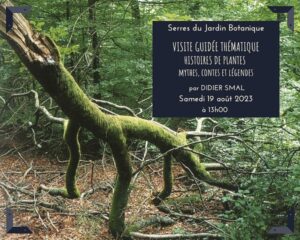 Visite guidée thématique : Histoire de plantes (mythes, contes et légendes) aux Serres du Jardin Botanique