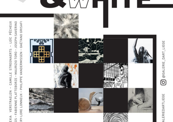 Exposition : « BLACK & WHITE » à la Galerie d'Art Liège