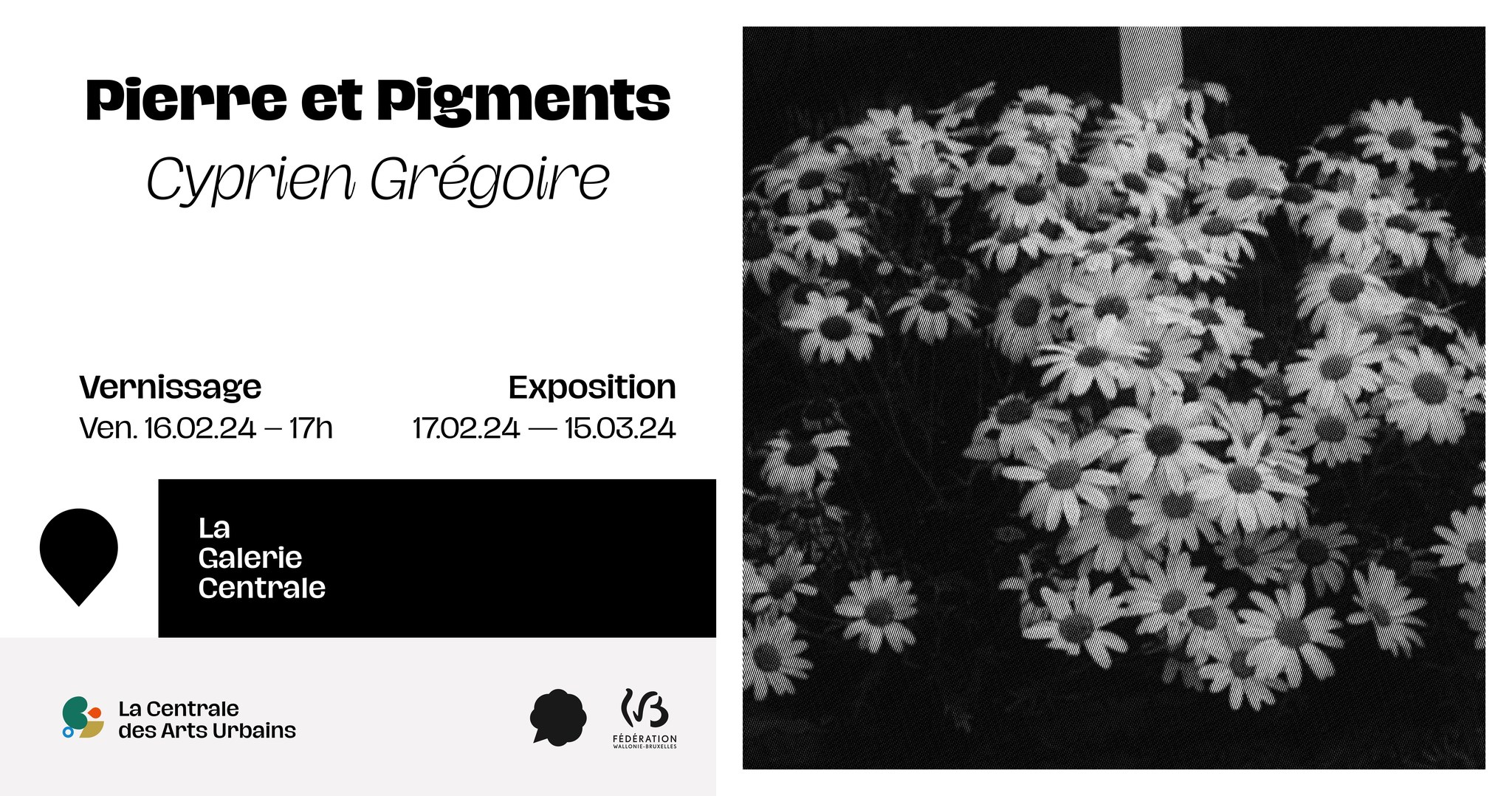 Vernissage de l'Exposition Pierre & Pigments - Cyprien Grégoire à La Galerie Centrale à LIEGE