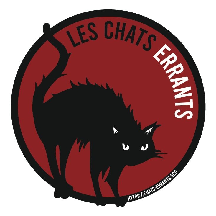 Les Chats Errants Les Chats Errants